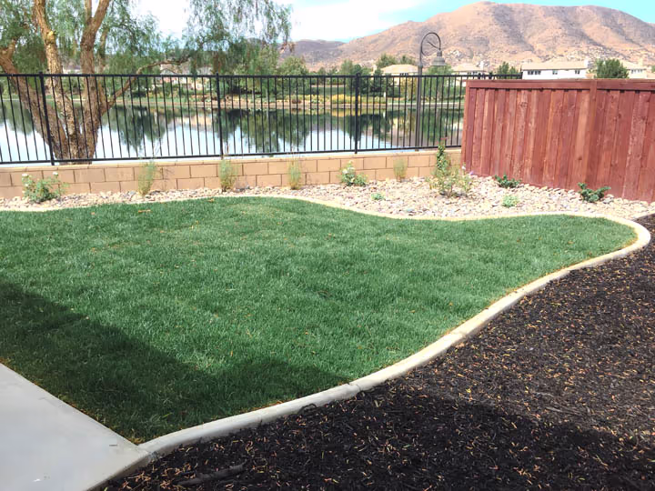 Residential Concrete Flatwork Back Yard Renovation — photo 10
